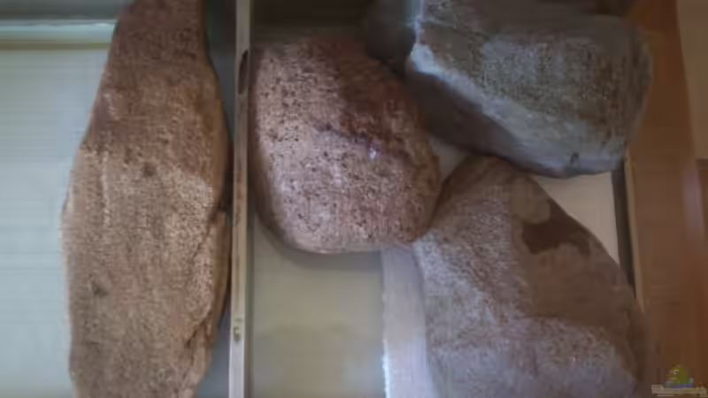 Dekoration im Aquarium Feuerwasser / Nur noch Beispiel / von Didi (21)