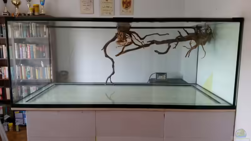 Dekoration im Aquarium Fluss-Monster (Nur noch als Beispiel) von Bernd N. (43)