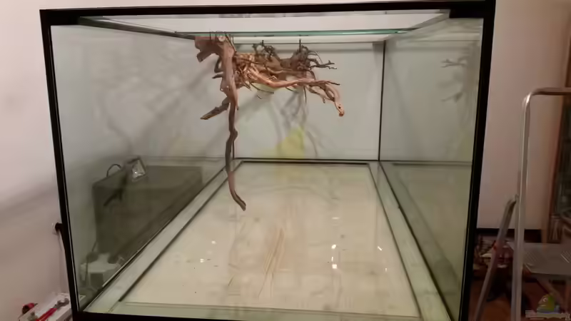 Dekoration im Aquarium Fluss-Monster (Nur noch als Beispiel) von Bernd N. (47)