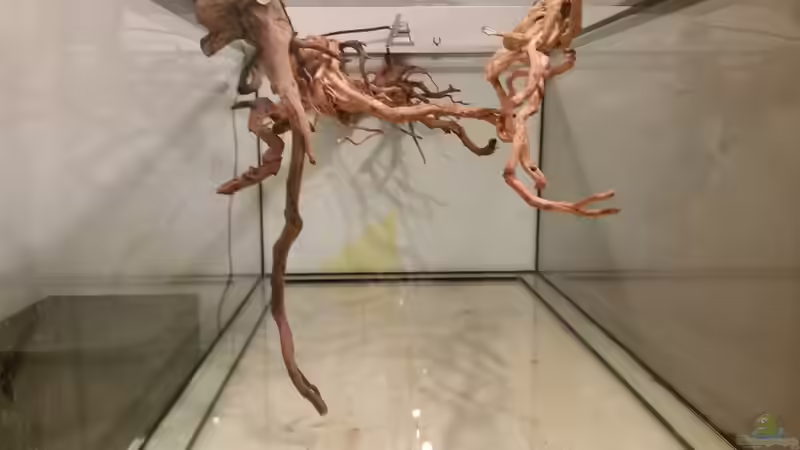 Dekoration im Aquarium Fluss-Monster (Nur noch als Beispiel) von Bernd N. (50)