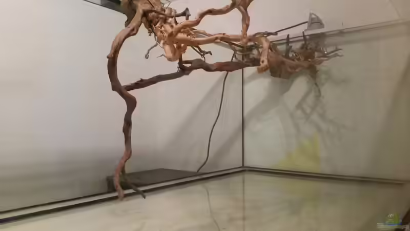 Dekoration im Aquarium Fluss-Monster (Nur noch als Beispiel) von Bernd N. (51)