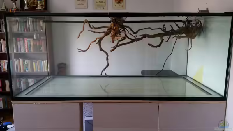 Dekoration im Aquarium Fluss-Monster (Nur noch als Beispiel) von Bernd N. (54)