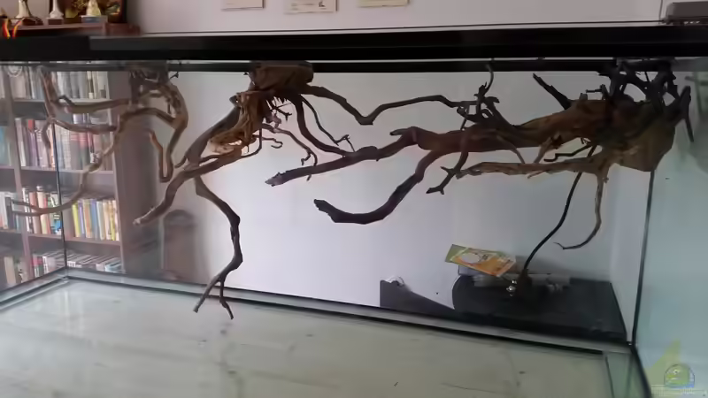 Dekoration im Aquarium Fluss-Monster (Nur noch als Beispiel) von Bernd N. (55)