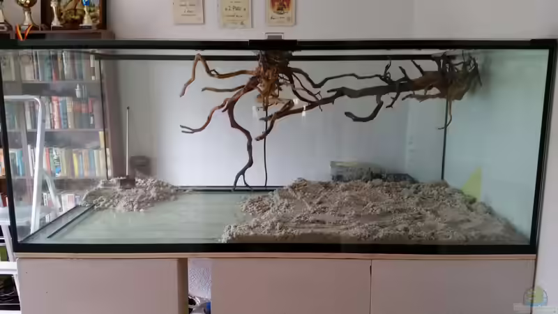 Dekoration im Aquarium Fluss-Monster (Nur noch als Beispiel) von Bernd N. (57)