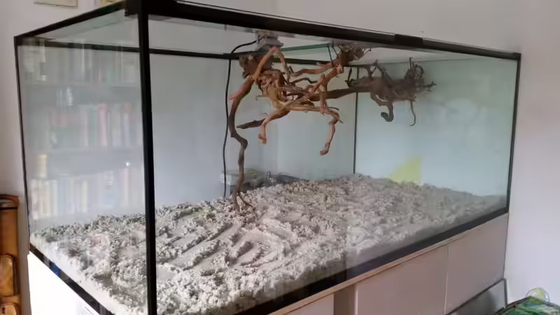 Dekoration im Aquarium Fluss-Monster (Nur noch als Beispiel) von Bernd N. (59)