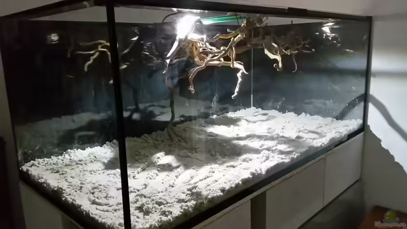 Dekoration im Aquarium Fluss-Monster (Nur noch als Beispiel) von Bernd N. (60)