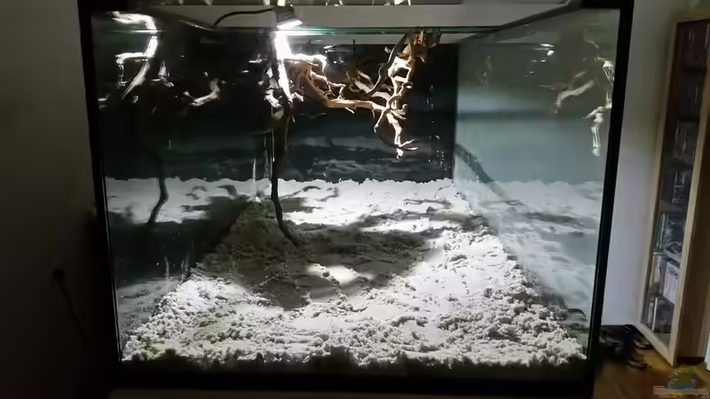 Dekoration im Aquarium Fluss-Monster (Nur noch als Beispiel) von Bernd N. (61)