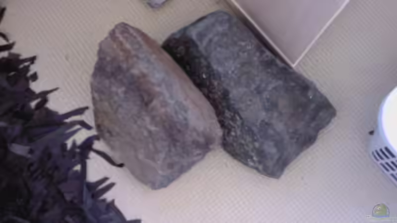 Dekoration im Aquarium Flussbecken/Strömungsbecken - 300Liter von Gin (6)