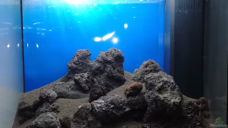 Dekoration im Aquarium Gesellschaftsbecken von Bestandteil (48)