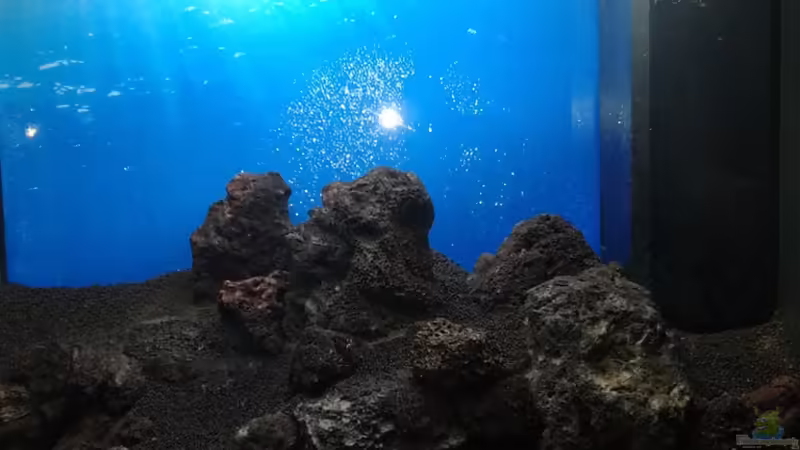 Dekoration im Aquarium Gesellschaftsbecken von Bestandteil (49)