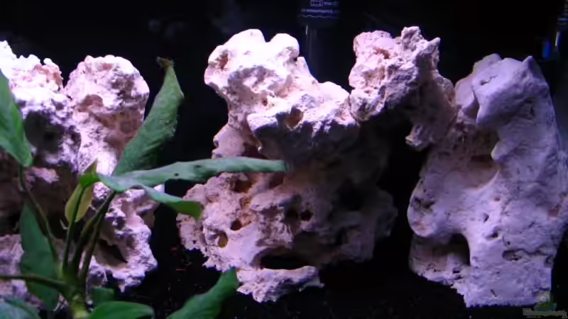 Dekoration im Aquarium Gladsheim von T H O R (16)