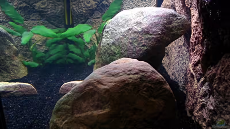 Dekoration im Aquarium Gladsheim von T H O R (25)