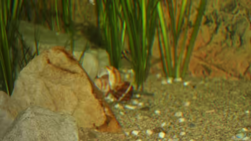 Dekoration im Aquarium Great Rift - nur noch Beispiel von Didi (25)