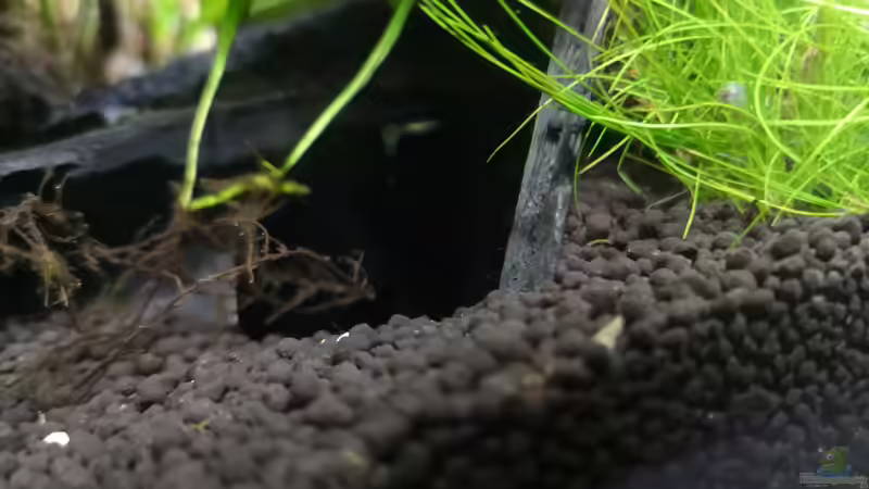 Dekoration im Aquarium Green Caves von Radi87 (13)