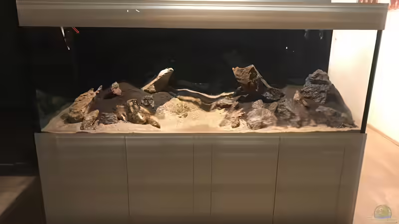 Dekoration im Aquarium Green Forest von JARB (30)