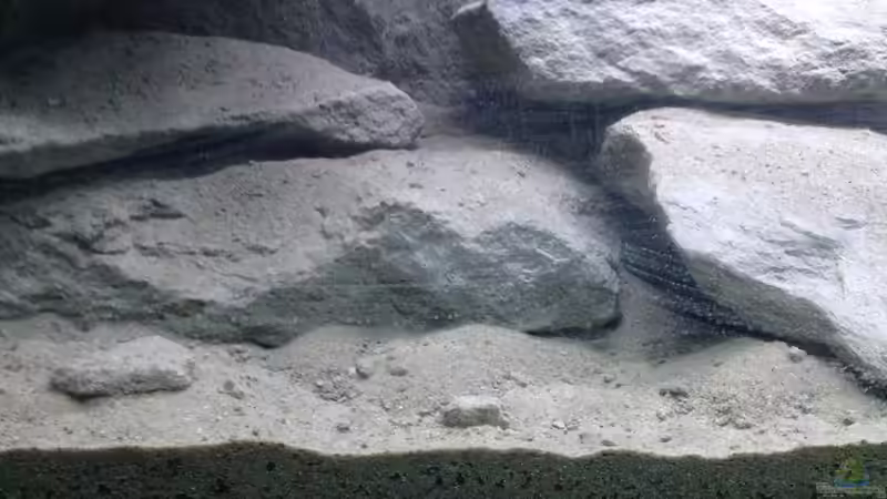 Dekoration im Aquarium heartbeat of Malawi the second von Swenni (9)