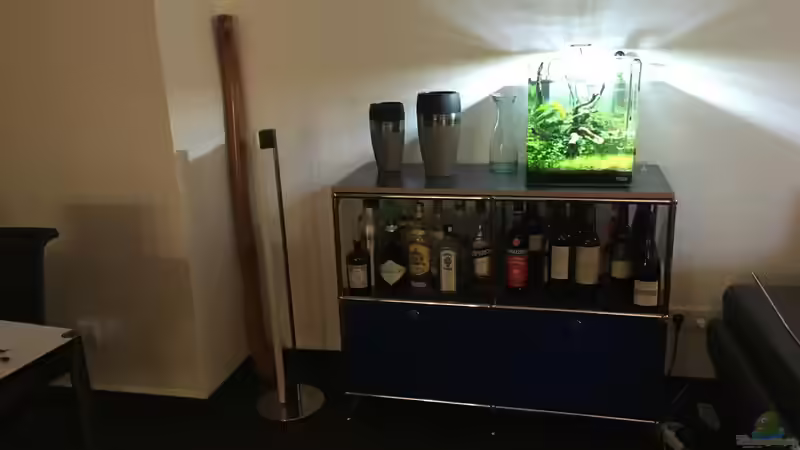 Dekoration im Aquarium i love leaves ! von Ayahuasca (126)