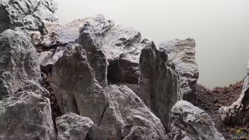 Dekoration im Aquarium JBL Setup 2017 von Scaper (6)