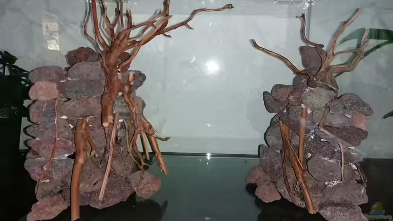 Dekoration im Aquarium Jungle Rock von Michi0311 (4)