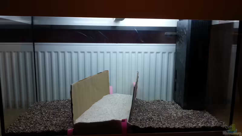 Dekoration im Aquarium Juwel RIO 125 von aquaristikman (11)