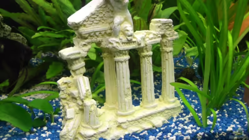 Dekoration im Aquarium Juwel Rio 180 von Lollipop (18)