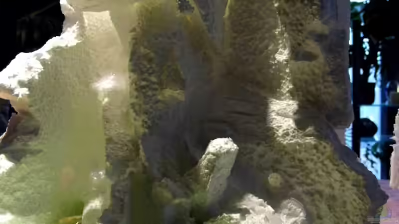 Dekoration im Aquarium Juwel Vision 190 von snooze (20)