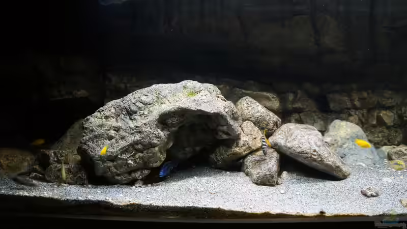 Dekoration im Aquarium Kaskazini´s Tank von dagloa (4)