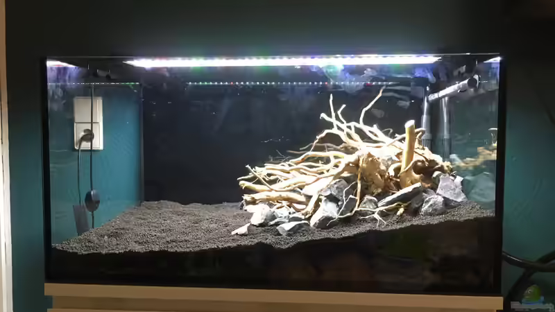 Dekoration im Aquarium kleines Südamerika von Jule (15)