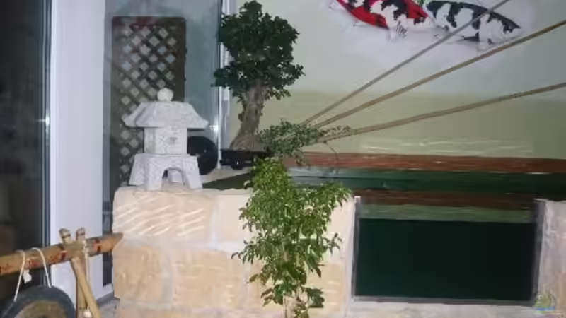 Dekoration im Aquarium KOIBECKEN von Sascha Schleicher (4)