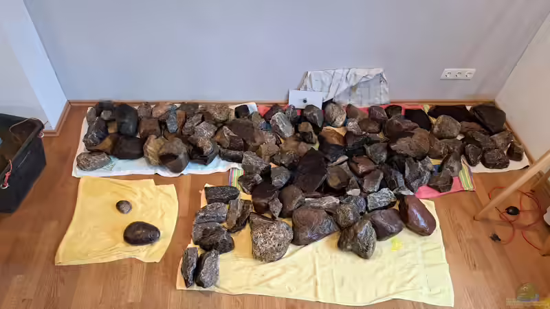 Dekoration im Aquarium Küchenfische von Raid_0 (13)