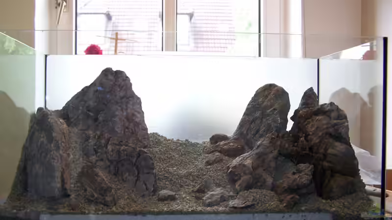 Dekoration im Aquarium Lady Liquid von Fredo Fuss (8)