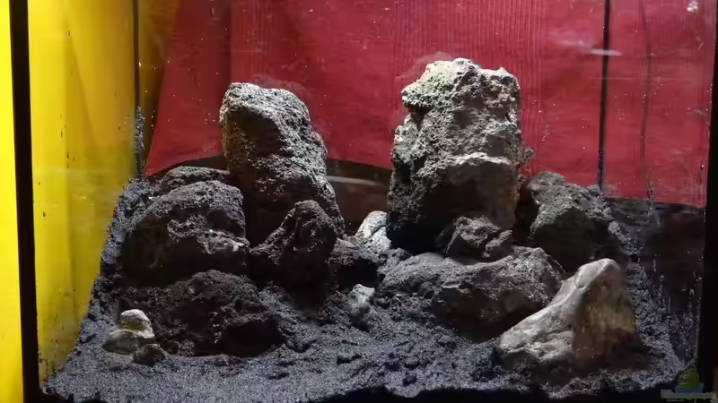 Dekoration im Aquarium Lava von paris (4)