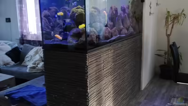 Dekoration im Aquarium Lavabruch von Gartenfuxx (5)