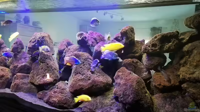 Dekoration im Aquarium Lavabruch von Gartenfuxx (7)