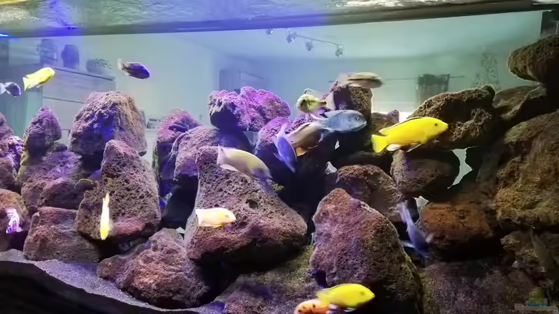 Dekoration im Aquarium Lavabruch von Gartenfuxx (8)