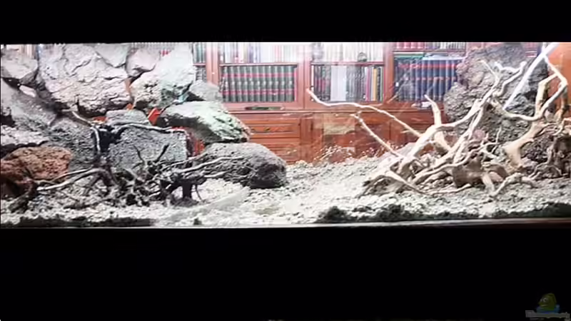 Dekoration im Aquarium Lavadschungel von brimar67 (20)