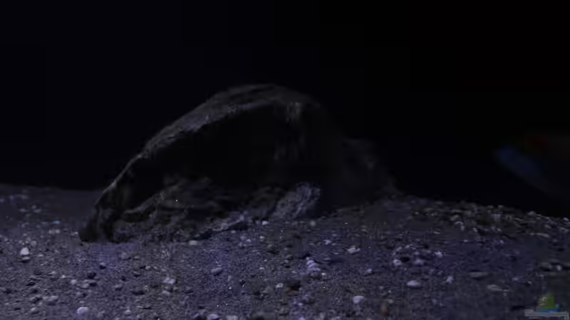 Dekoration im Aquarium Lethrinops Buddelkiste (nur noch als Beispiel) von Sebastian O. (10)