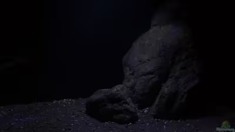 Dekoration im Aquarium Lethrinops Buddelkiste (nur noch als Beispiel) von Sebastian O. (15)