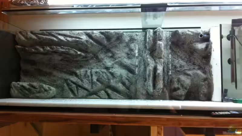 Dekoration im Aquarium Malawi 450 von Christoph Müller (18)