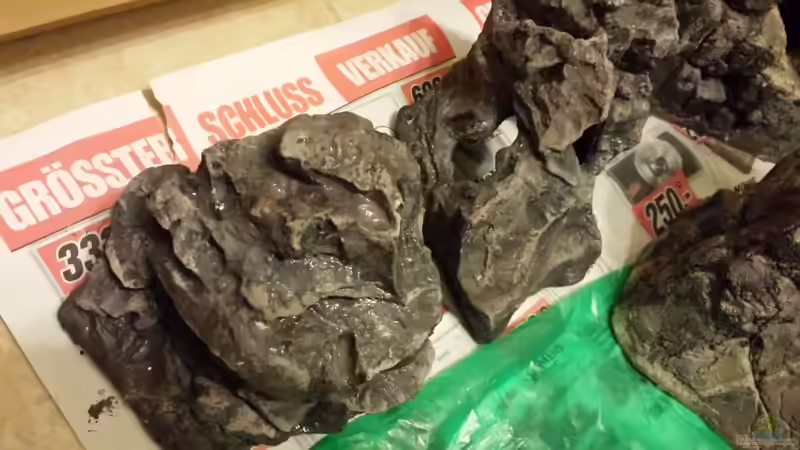 Dekoration im Aquarium Malawi african sea or &quot;Der Mühe Lohn&quot; von Thomas u. Gabriele P. (33)