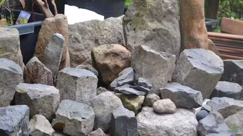 Dekoration im Aquarium Malawi Barschbecken von Midgard (5)