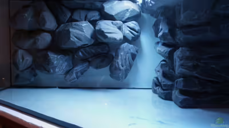 Dekoration im Aquarium Malawi-Delta von Afrika NEUlinG (7)