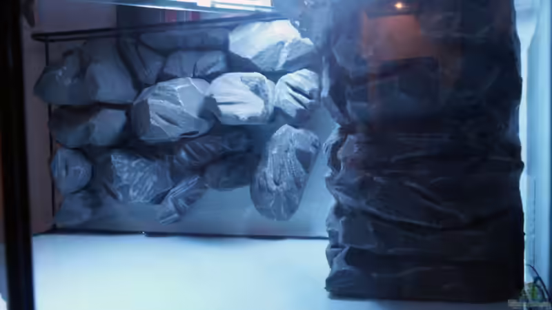 Dekoration im Aquarium Malawi-Delta von Afrika NEUlinG (8)