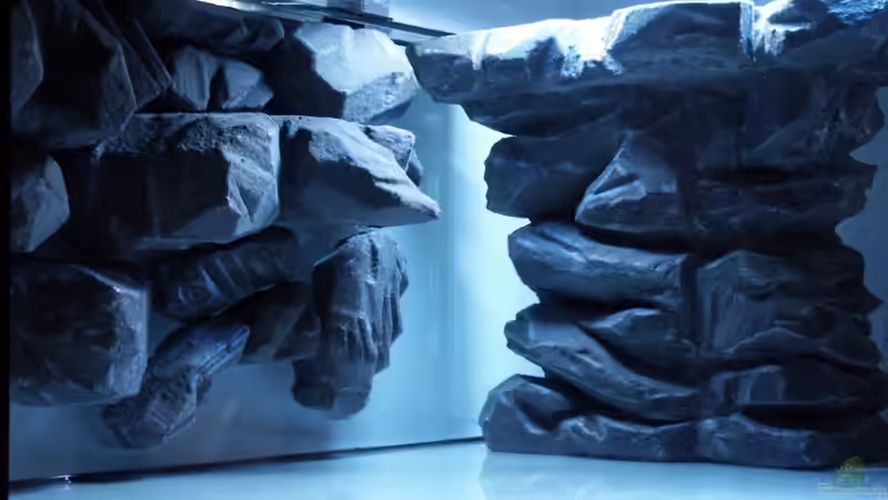 Dekoration im Aquarium Malawi-Delta von Afrika NEUlinG (9)