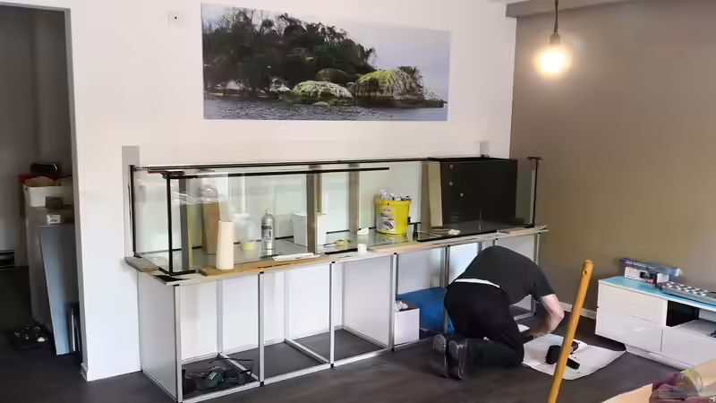 Dekoration im Aquarium Malawi-Guru-Becken 3.0 von Florian Bandhauer (39)