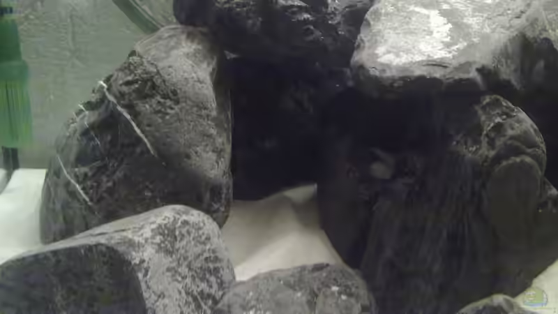 Dekoration im Aquarium Malawi-Marmor von BRANDNEW (6)