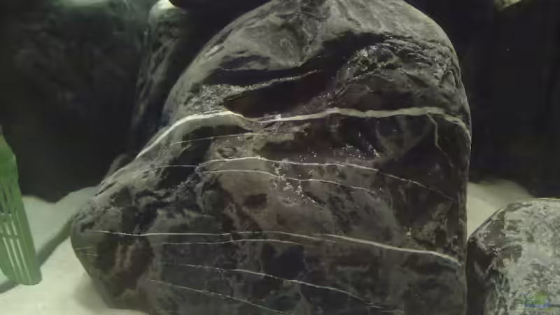 Dekoration im Aquarium Malawi-Marmor von BRANDNEW (8)