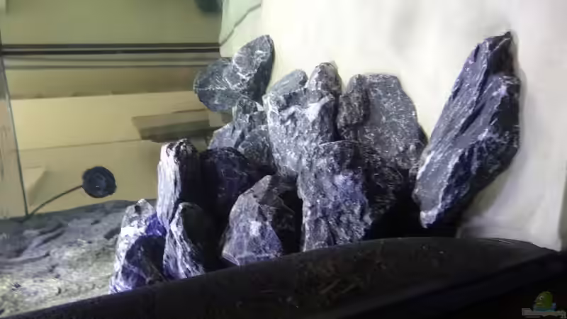 Dekoration im Aquarium Malawi Mbuna von Max V. (10)