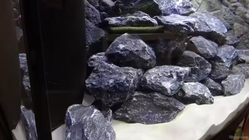 Dekoration im Aquarium Malawi Mbuna von Max V. (12)