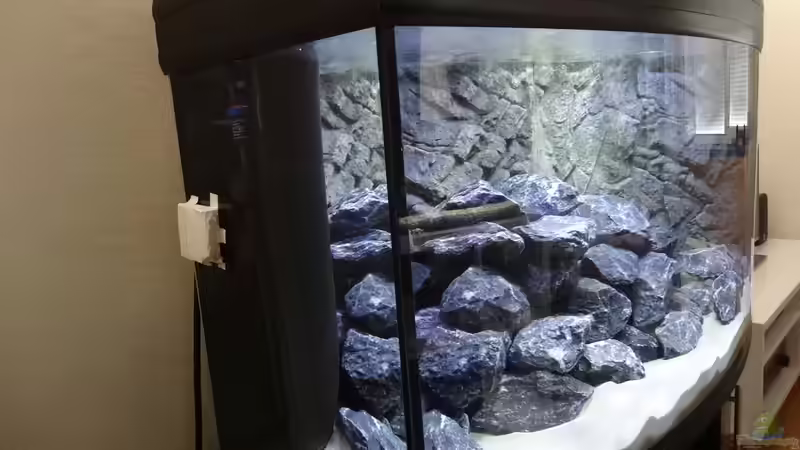 Dekoration im Aquarium Malawi Mbuna von Max V. (13)